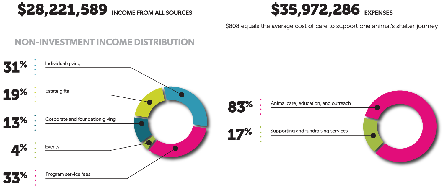 HCO 2024 Financials Graphic