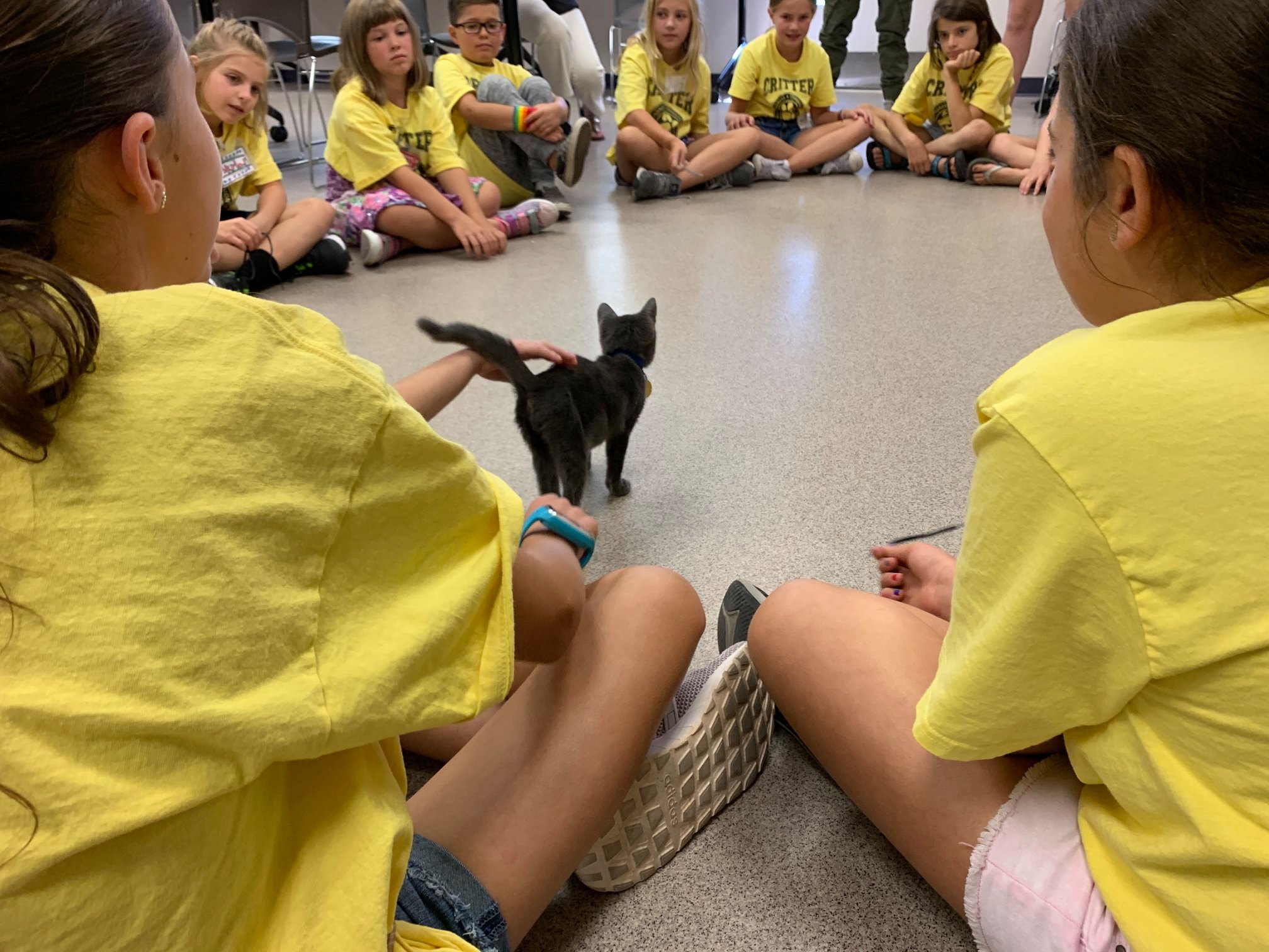 Services Humane Colorado