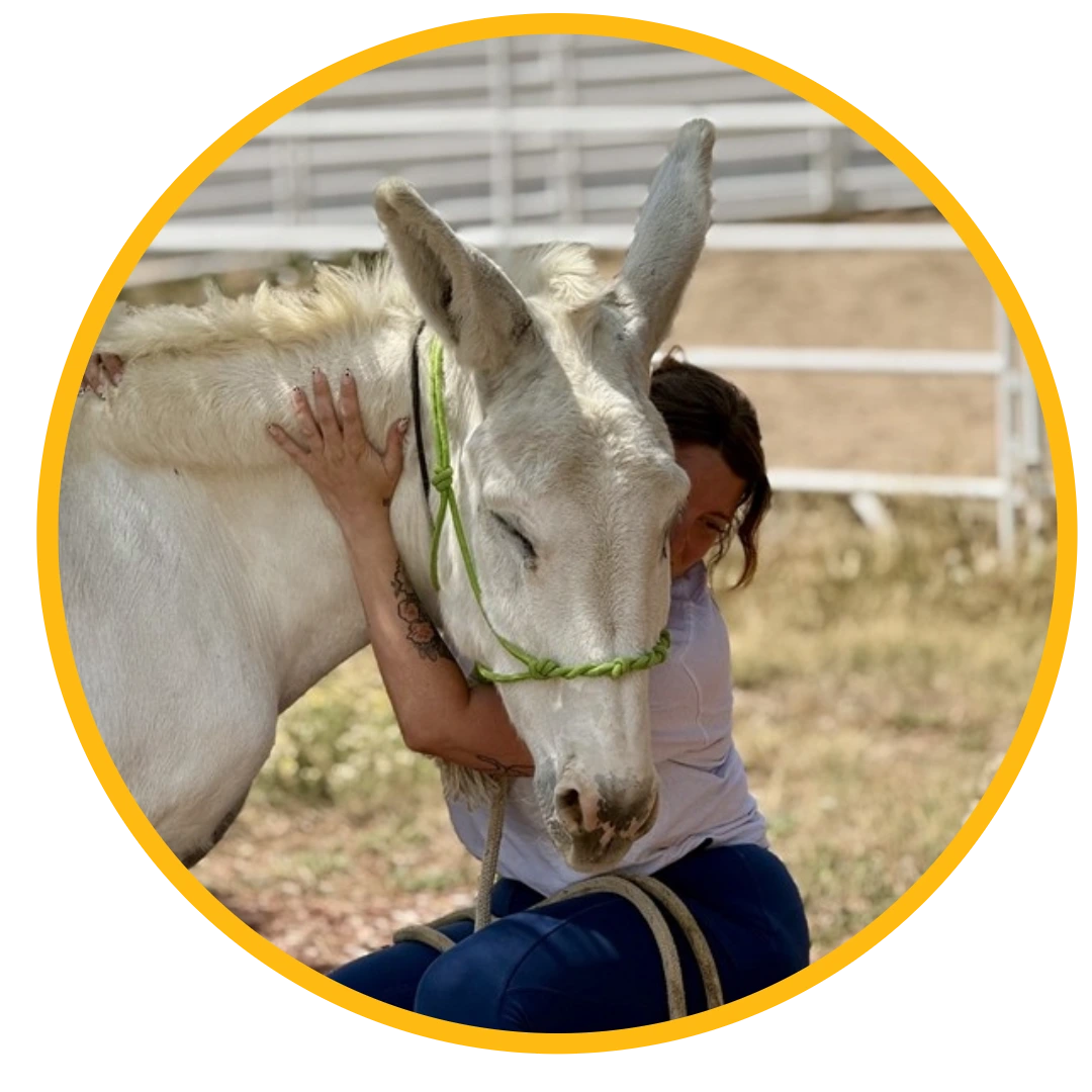 Woman kneeling and embracing a white donkey wearing a green rope halter in a fenced outdoor area