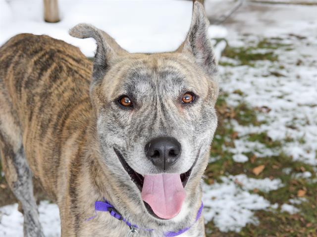 Smiley - Male - Nonspecific