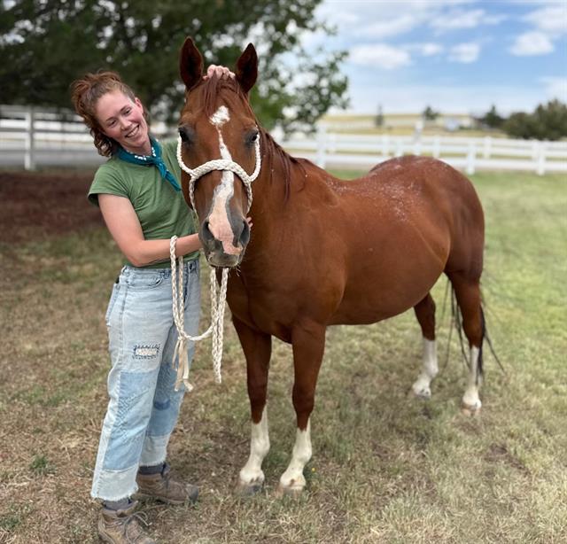 Aramis - Male - Quarter Horse