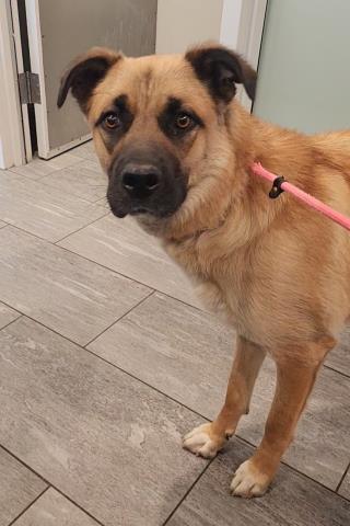  - Female - Nonspecific