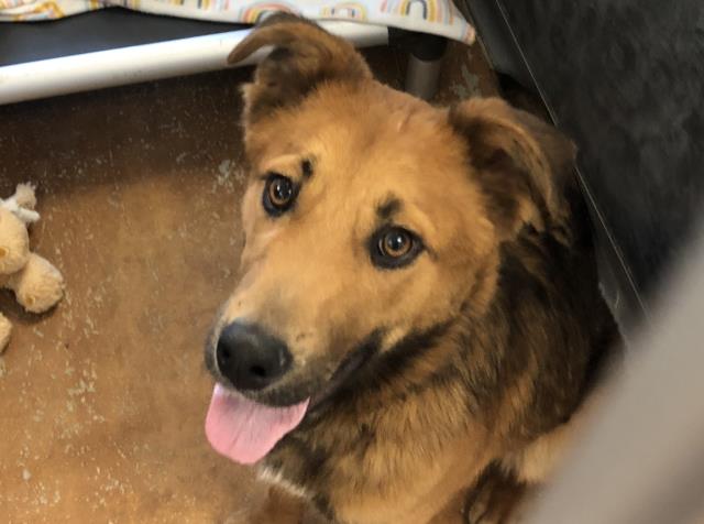 Lloyd - Male - Nonspecific
