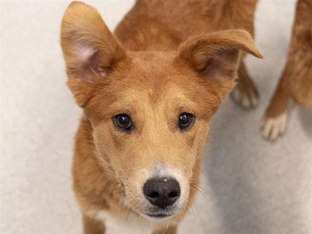 Lenny - Male - Nonspecific