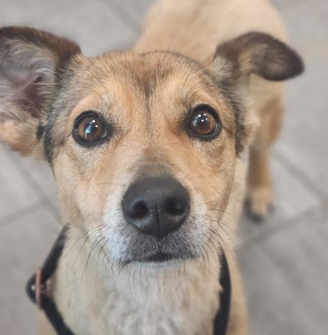 - Female - Nonspecific-Mix