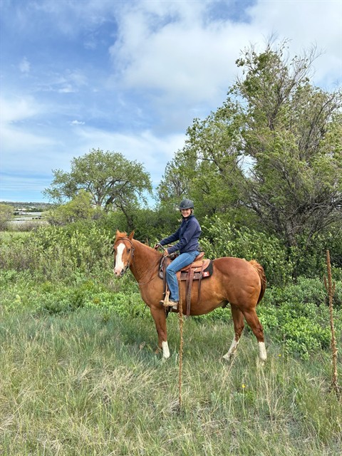 Banjo - Male - Grade