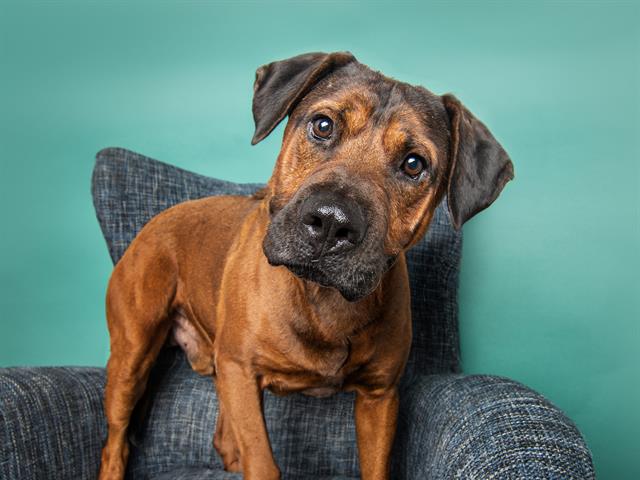 Max - Male - Nonspecific