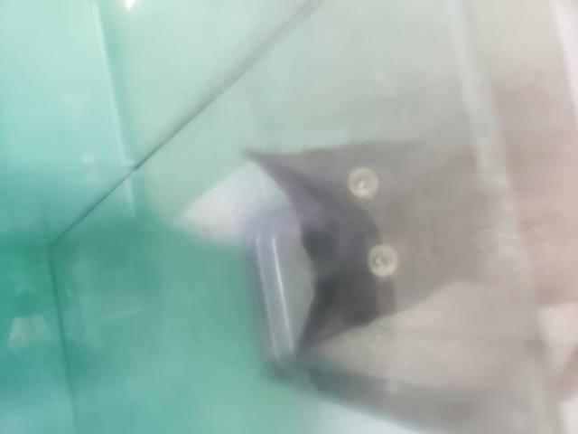  - Unknown - Domestic SH
