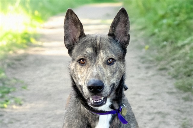 Conrad - Male - Nonspecific