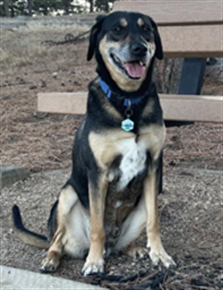 Noah - Male - Nonspecific