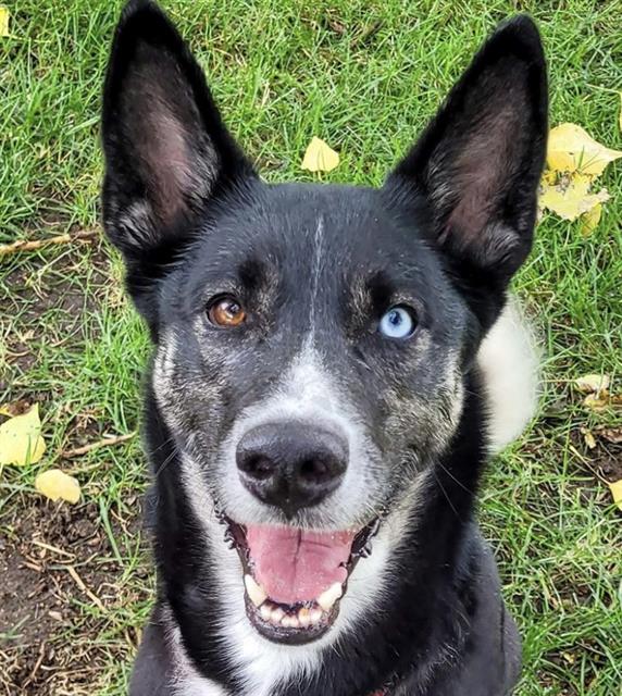 Zuko - Male - Nonspecific