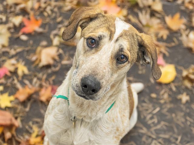 Cynthia - Female - Nonspecific