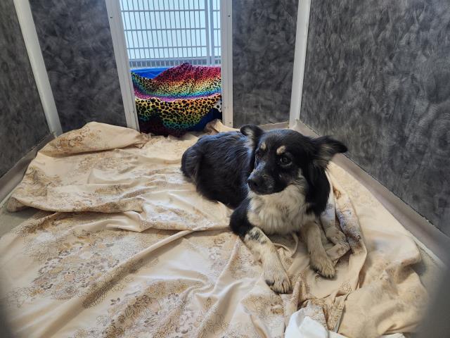  - Female - Nonspecific