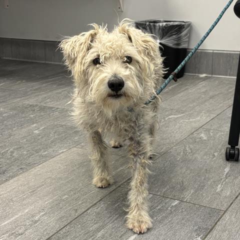  - Male - Nonspecific