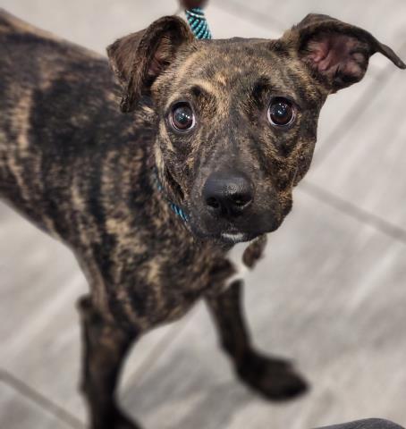  - Female - Nonspecific