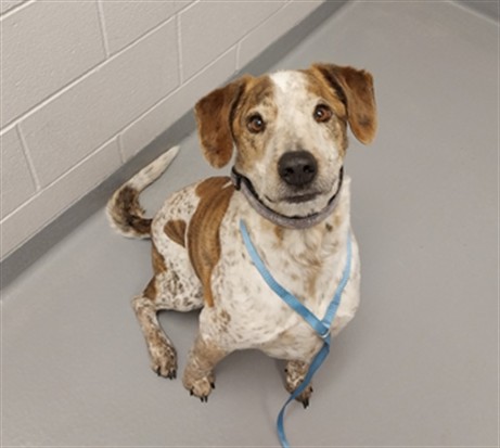 Flip - Male - Nonspecific