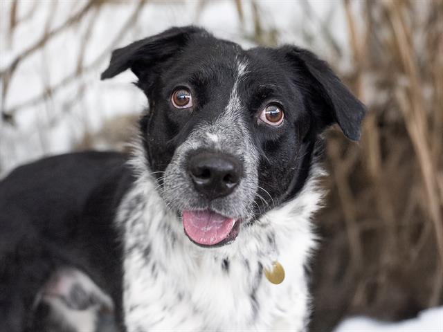 Patches - Male - Nonspecific