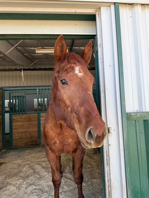 Martha May - Female - Grade