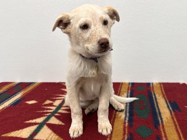 Megumi - Male - Nonspecific