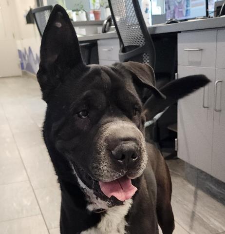  - Male - Nonspecific