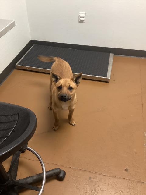  - Male - Nonspecific