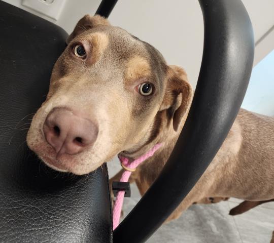  - Female - Nonspecific