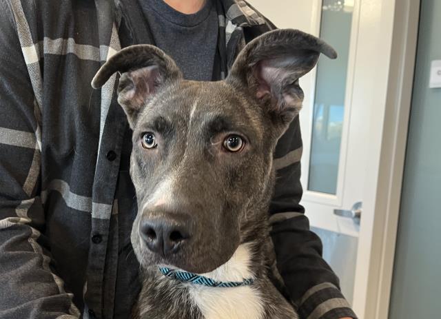  - Male - Nonspecific