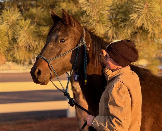 Peach - Female - Grade