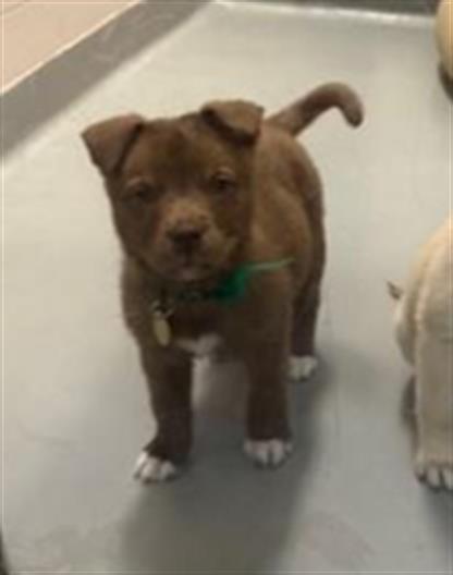  - Female - Nonspecific