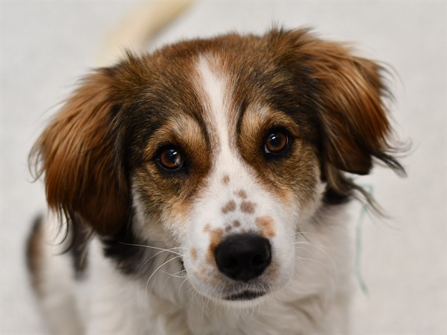  - Female - Nonspecific