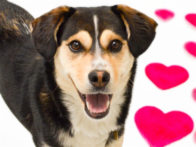  - Male - Nonspecific