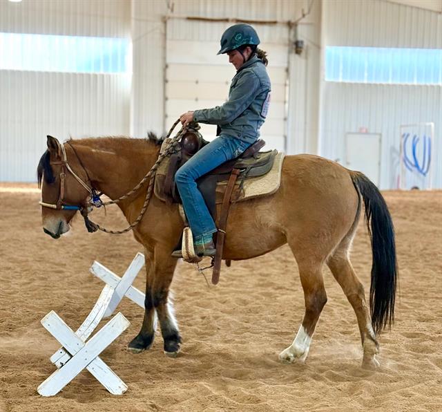 Skate - Female - Mustang