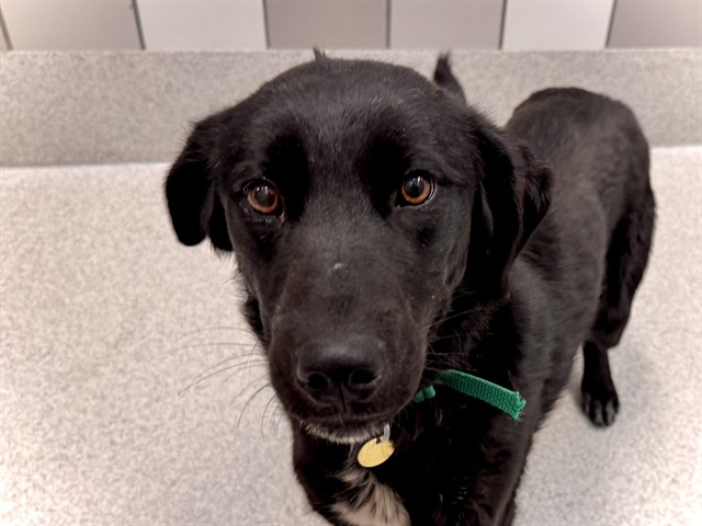 Margo - Female - Nonspecific