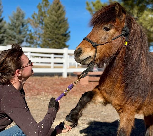 Squirt - Male - Miniature