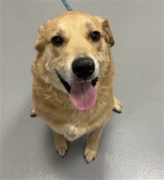 Kamie - Female - Nonspecific