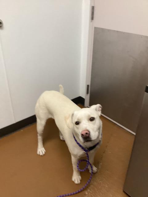  - Female - Nonspecific