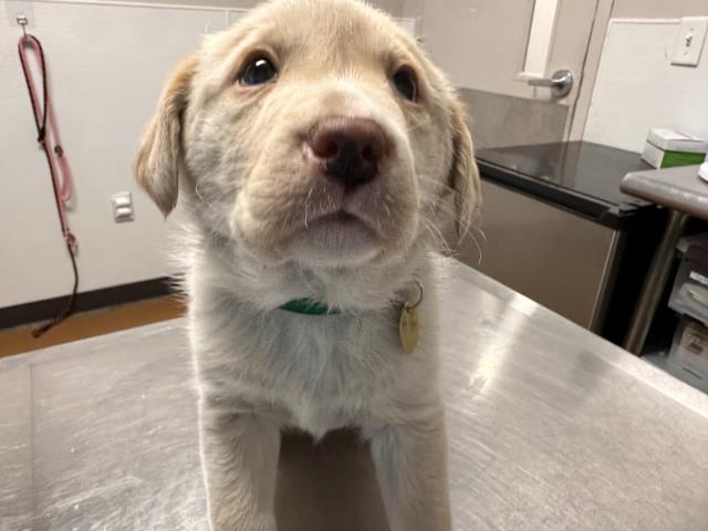  - Female - Nonspecific