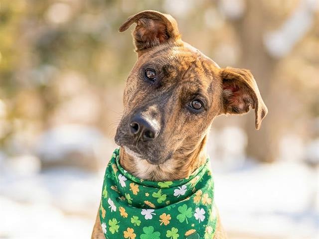  - Female - Nonspecific