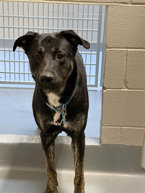  - Male - Nonspecific