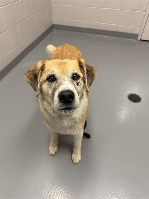  - Male - Nonspecific