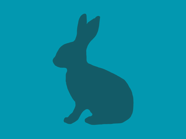 Squeak - Male - Chinchilla