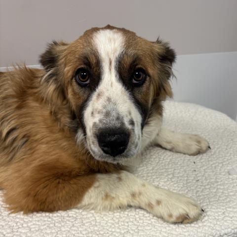  - Female - Nonspecific