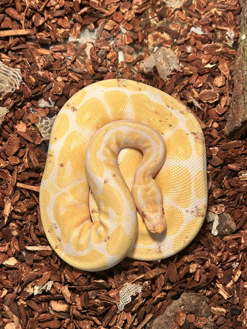  - Unknown - Python