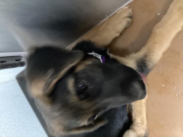  - Male - Nonspecific