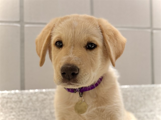 Andy Six - Male - Nonspecific